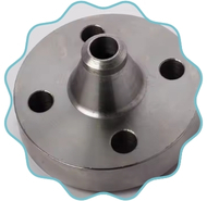 Hastelloy Reducing Flanges