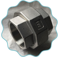 Hastelloy Forged Union