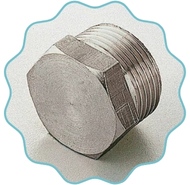 Super Duplex Steel Plug